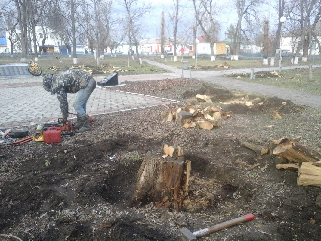 благоустройство парка