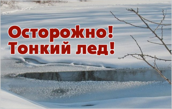 лед