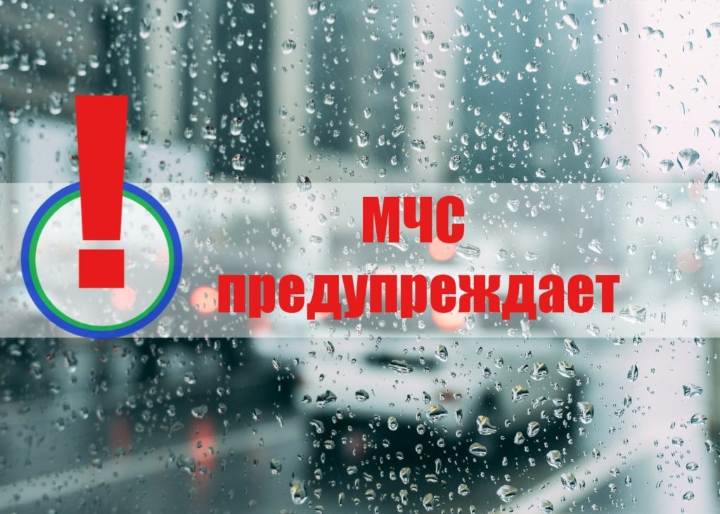 9995-dx1oyc.2810za1yvi