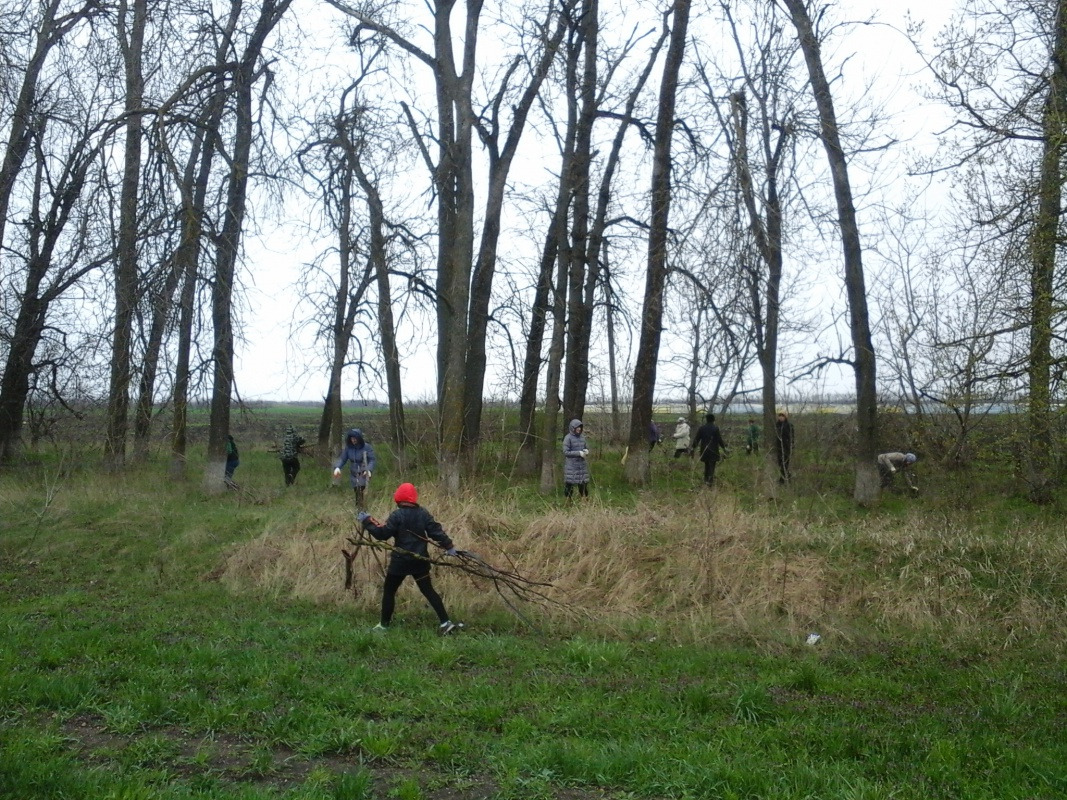20150404_093822