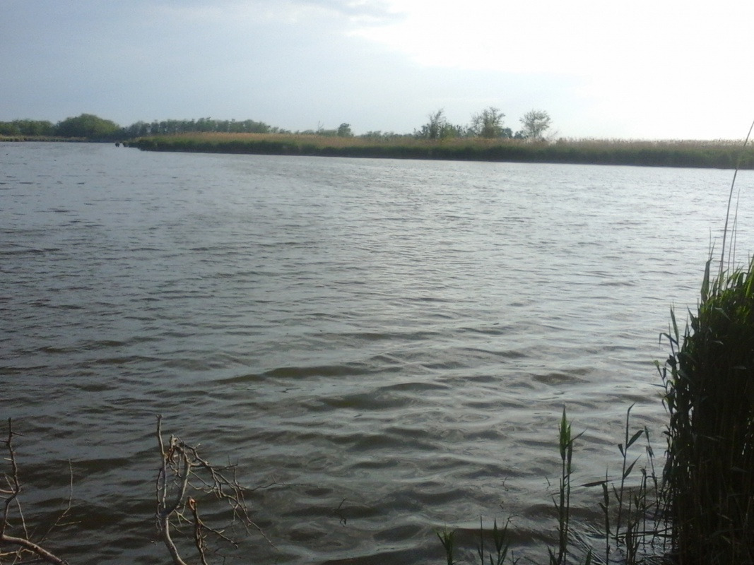 20150513_180912