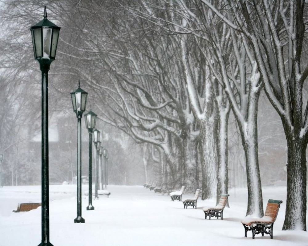 winter_the_park_day_alley_lanterns_snow_hd-wallpaper-548866