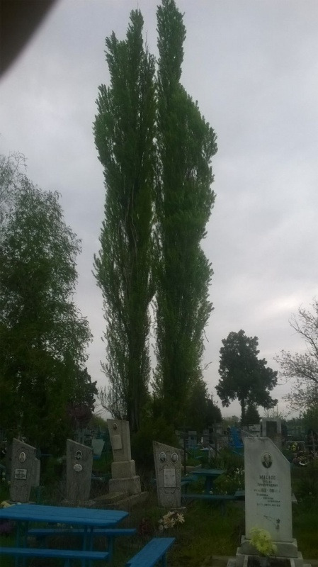 IMG-20160415-WA0002