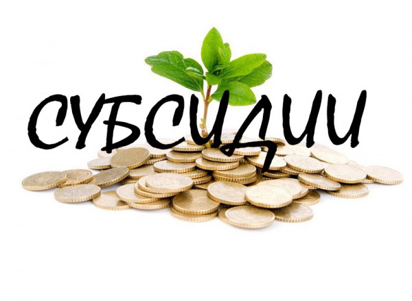 subsidii